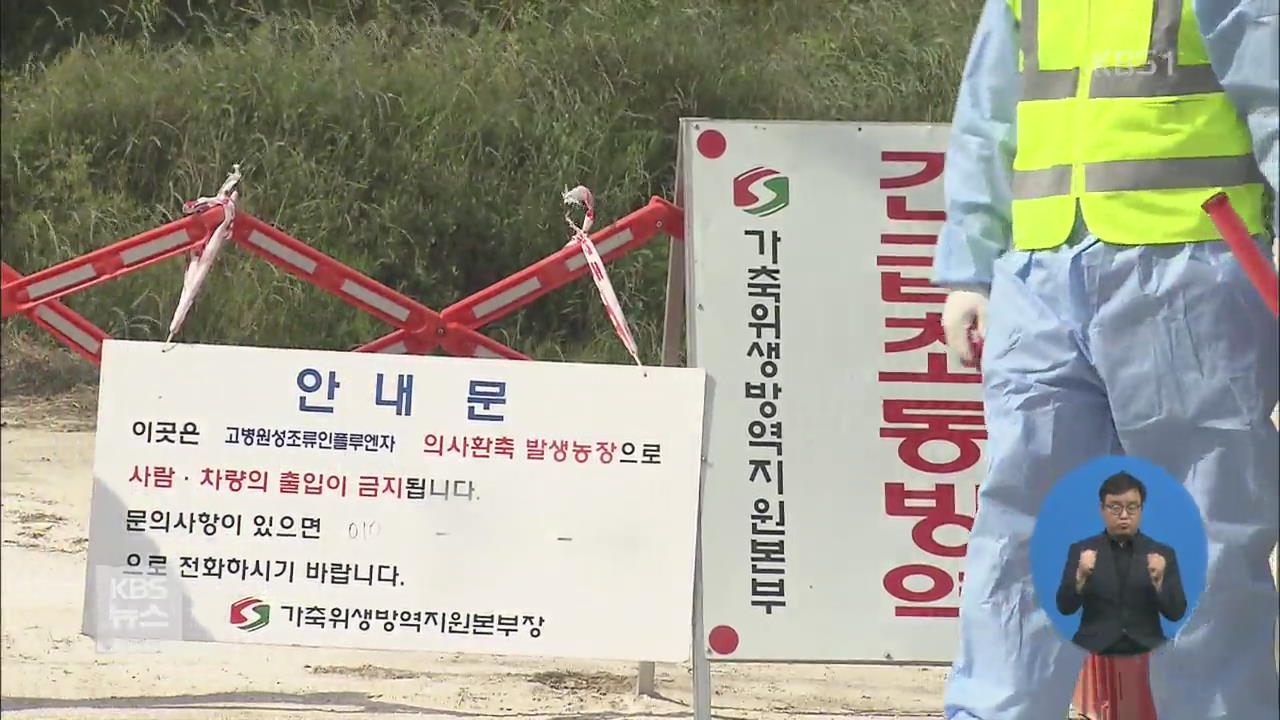 고병원성 AI 확산…오늘 모든 가금류 ‘이동 중지’