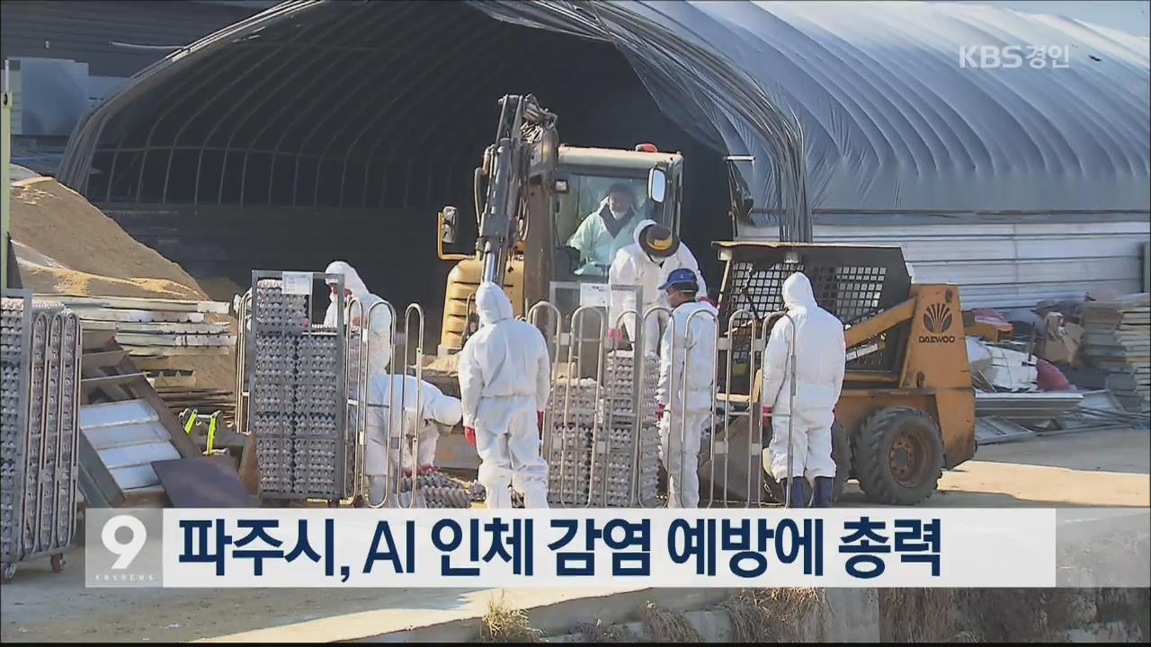 파주시, AI 인체 감염 예방에 총력