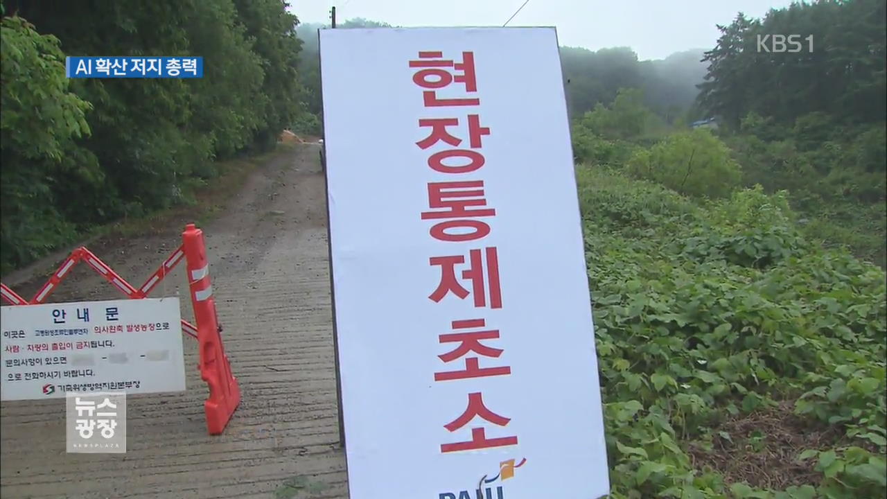 이례적 여름철 AI…양계농가 초긴장