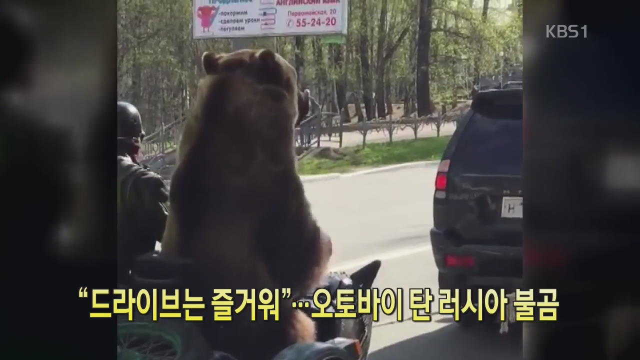 [디지털 광장] “드라이브는 즐거워”…오토바이 탄 러시아 불곰