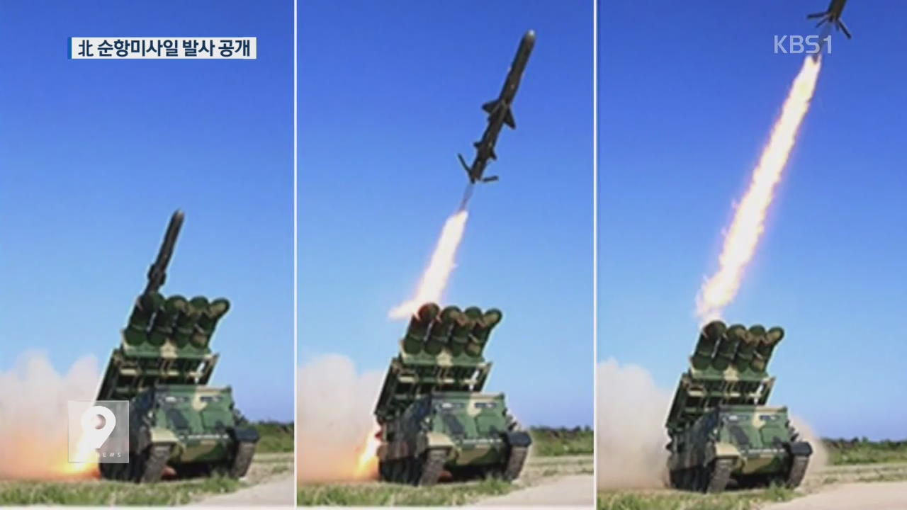북, 지대함 순항미사일 발사 공개…“초저공 정밀타격”