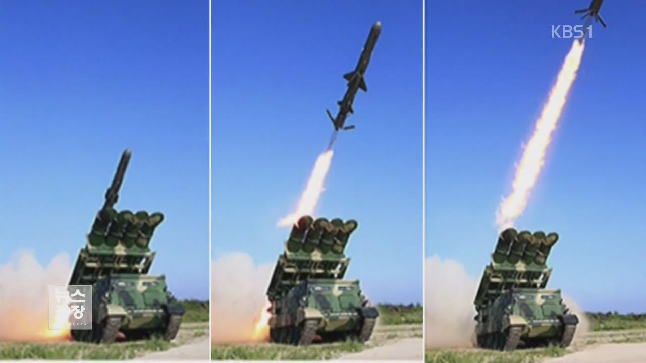 북, 지대함 순항 미사일 성공…“초저공 정밀타격”