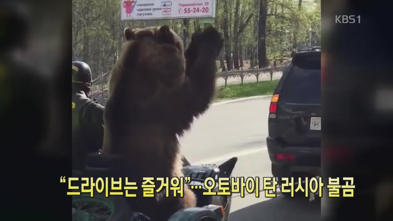 [세상의 창] “드라이브는 즐거워”…오토바이 탄 러시아 불곰