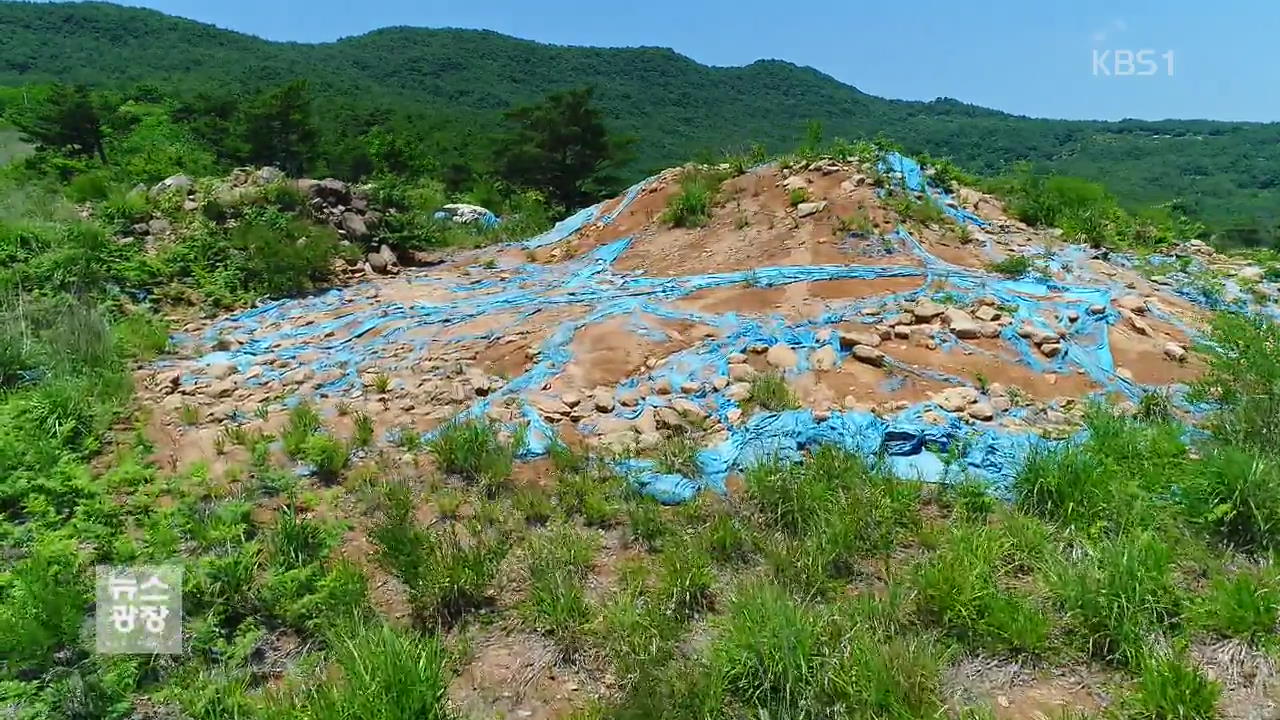 가야 고분군 곳곳 훼손·방치