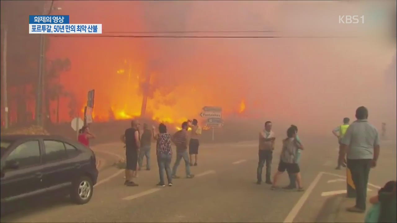 [화제의 영상] 포르투갈, 산불 희생가 계속 늘어
