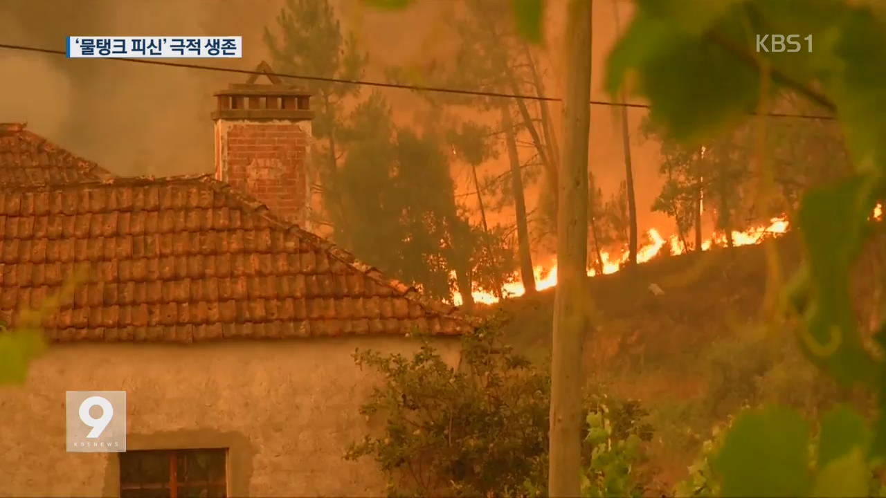 포르투갈 산불 물탱크 피신…12명 극적 생존