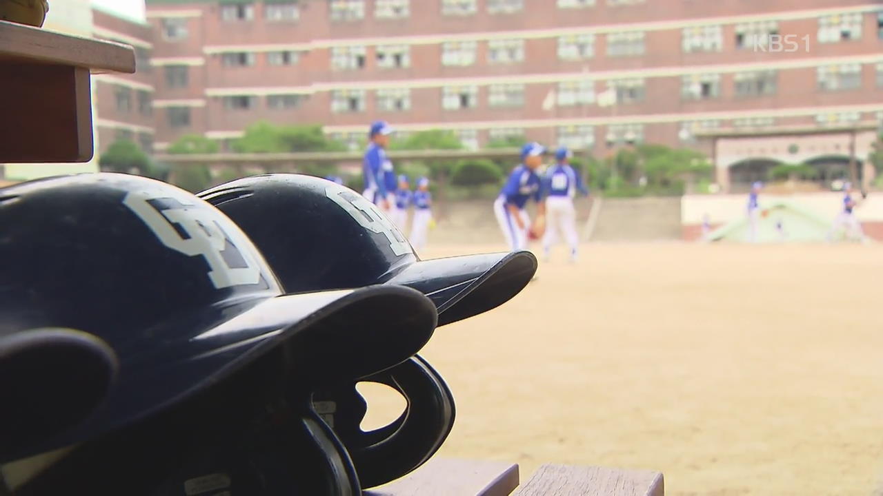 유소년 야구, 부상 방지 대책은?…과학적 훈련 필수