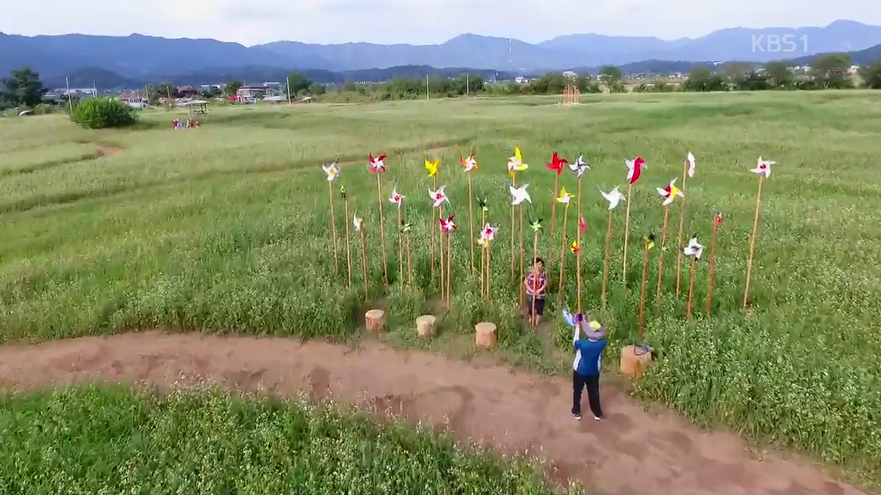 [뉴스광장 영상] 메밀꽃밭