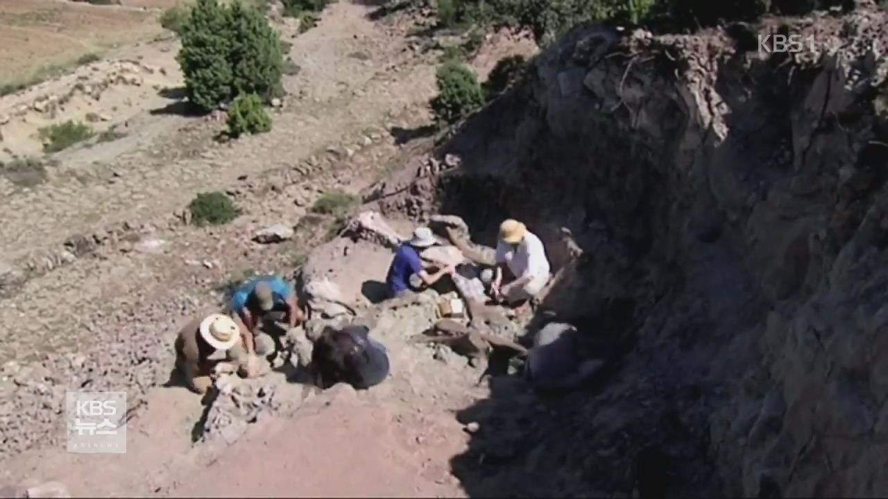 스페인, ‘브라키오사우르스’ 추정 공룡 뼈 발굴