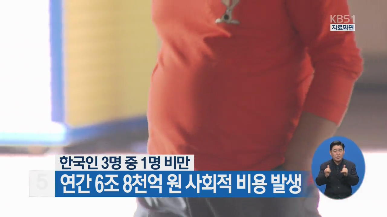 한국인 3명 중 1명 비만…연간 6조 8천억 원 사회적 비용 발생