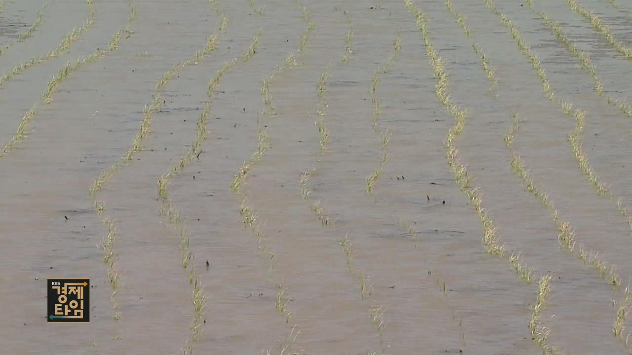 가뭄에 바닥 드러낸 저수지…농촌 비상