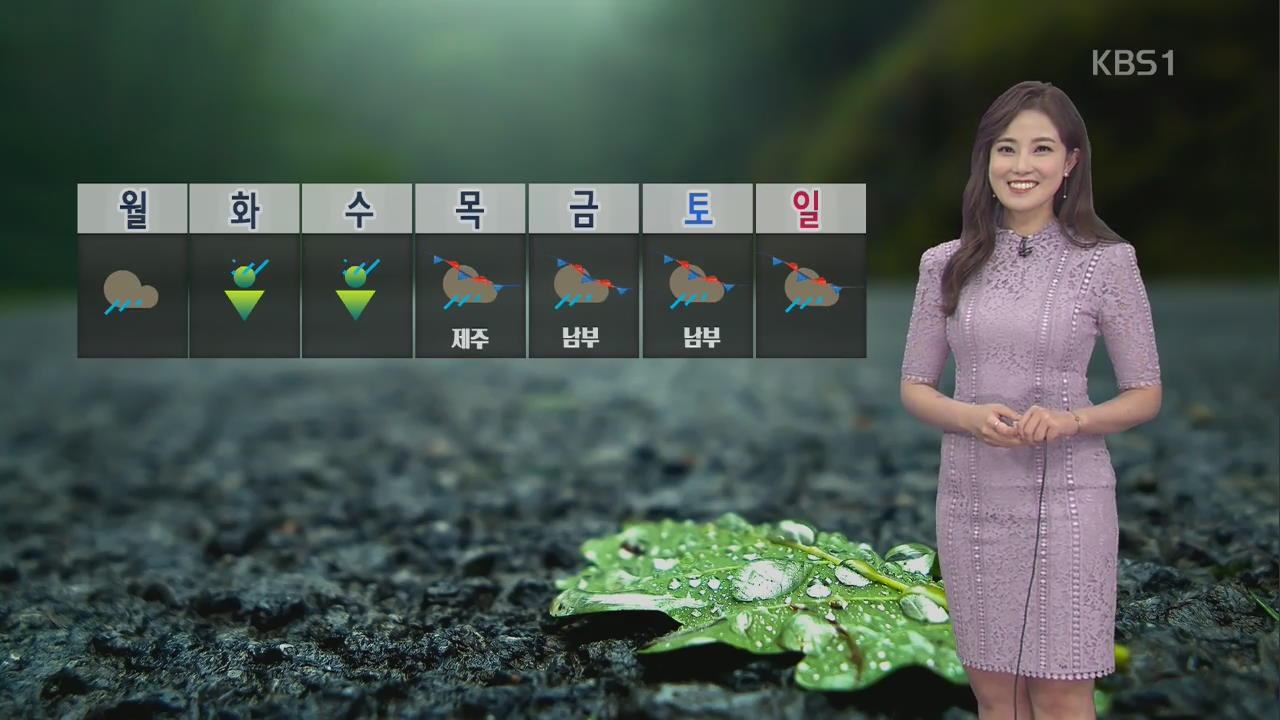 전국 산발적인 비…내일은 소나기