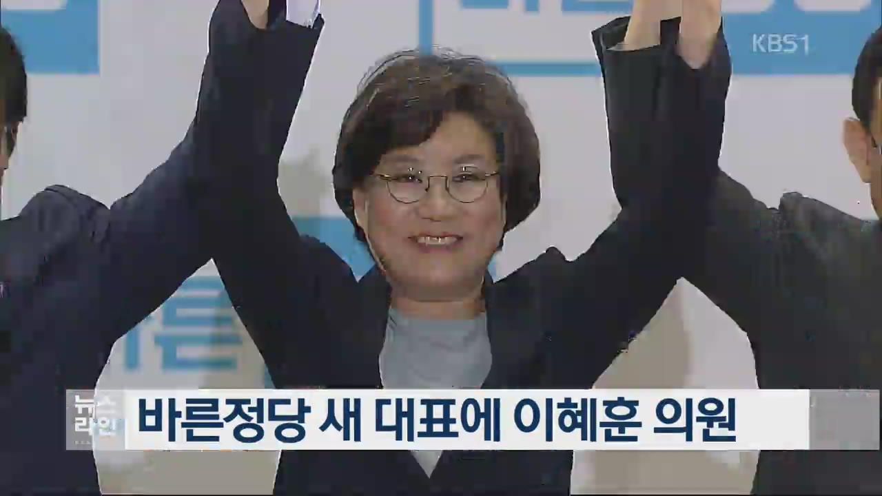 바른정당 새 대표에 이혜훈 의원