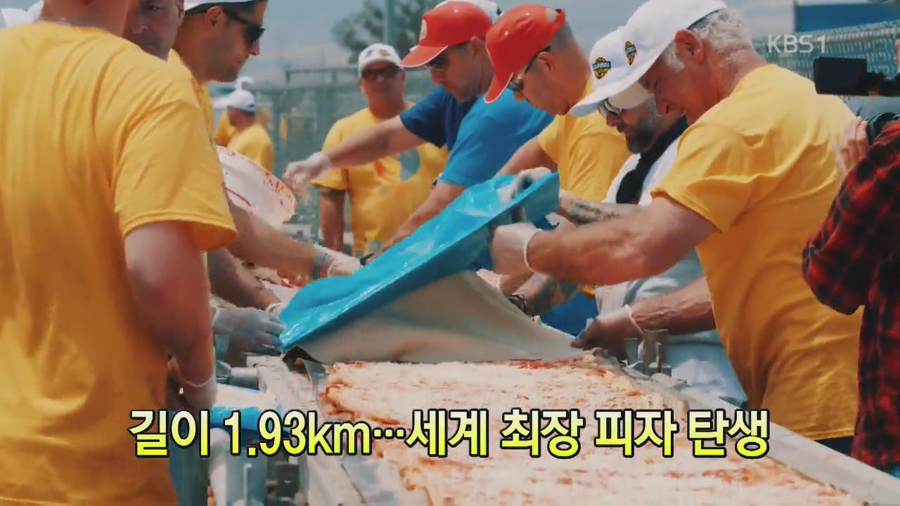 [세상의 창] 길이 1.93km…세계 최장 피자 탄생