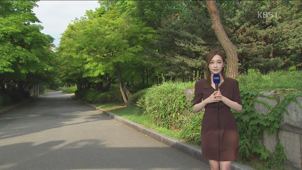 전국에 장맛비, 중부 국지성 호우