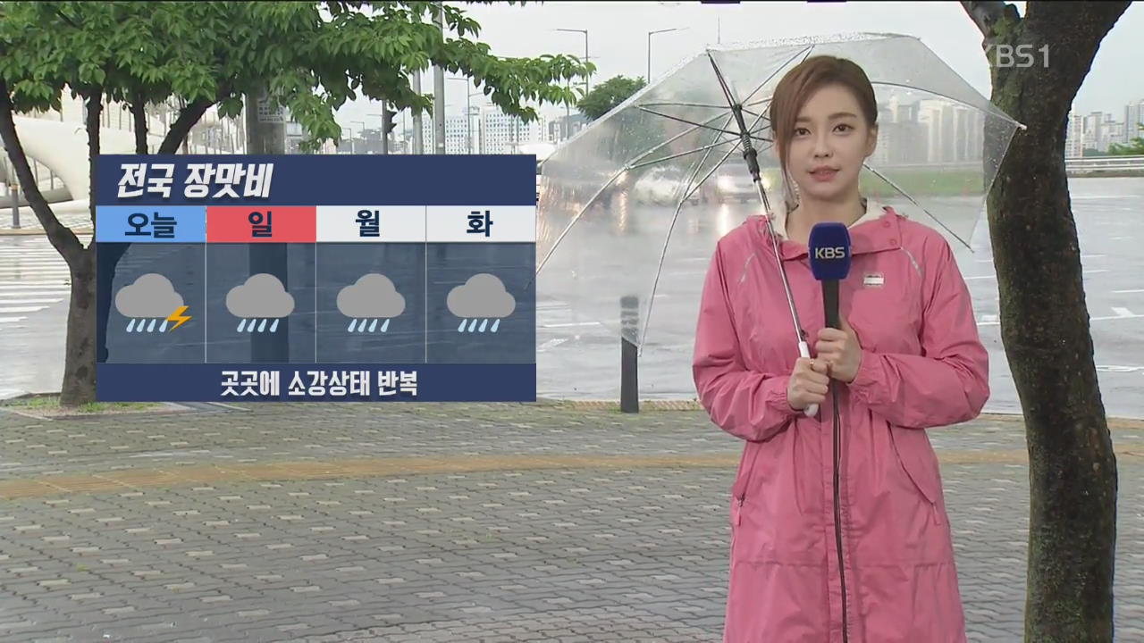 경기 북동부·영서 북부 호우특보…주말 전국 장맛비
