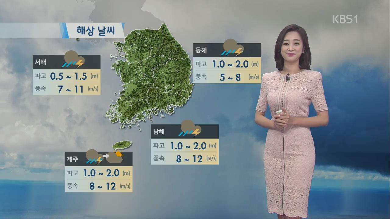 내일도 전국 장맛비…호남·남해안 강한 비 주의