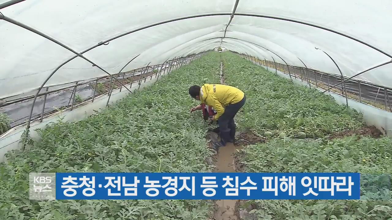 충청·전남 농경지 등 침수 피해 잇따라