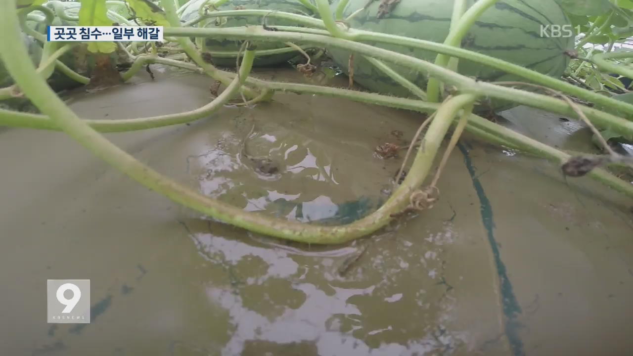 한쪽 밭 침수 피해…다른쪽 논 해갈