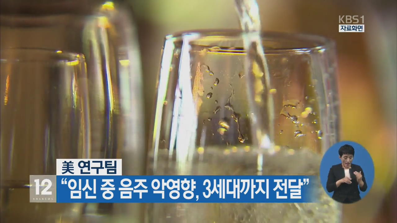 美 연구팀 “임신 중 음주 악영향, 3세대까지 전달된다”