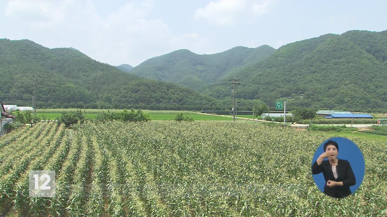 ‘발상 전환’ 농산품…농촌 경제 활력