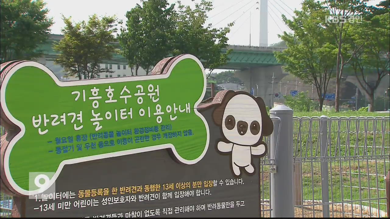 반려견 놀이터가 혐오시설?…곳곳 갈등