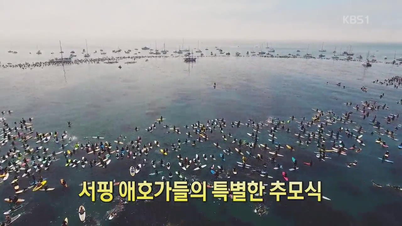 [디지털 광장] 서핑 애호가들의 특별한 추모식