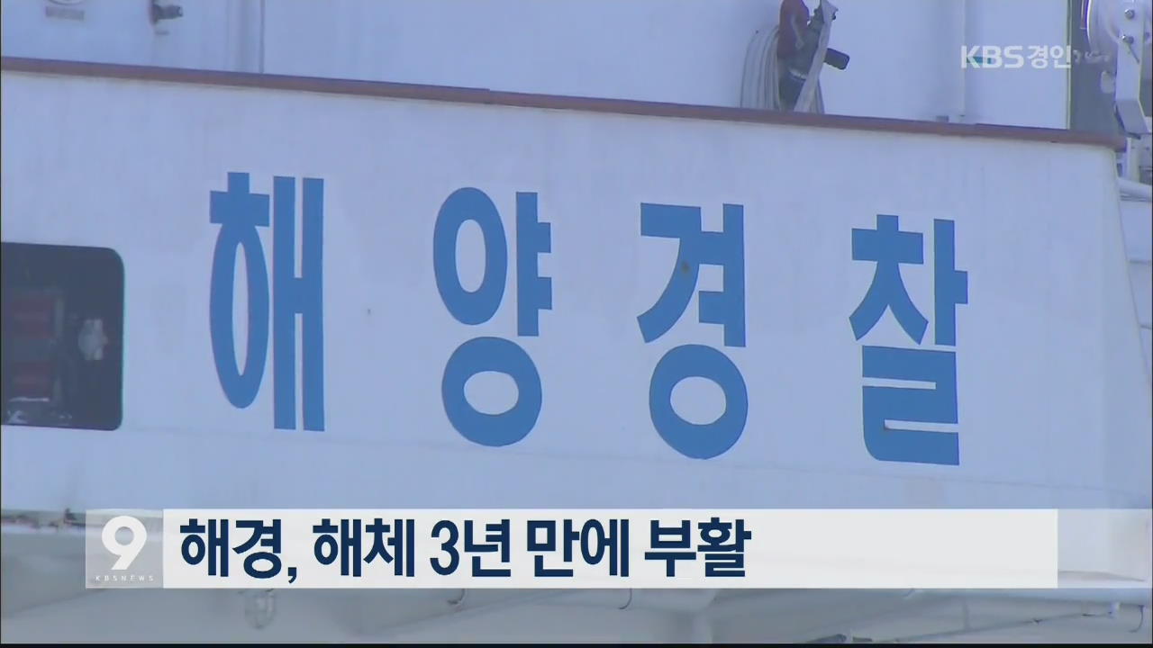 해경, 해체 3년 만에 부활
