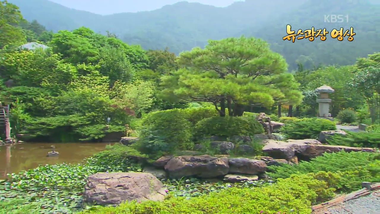 [뉴스광장 영상] 숲속정원