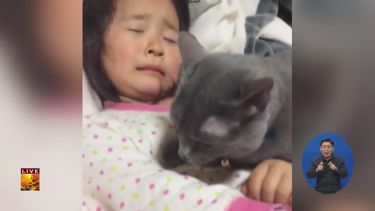 [글로벌24 브리핑] “울지 마~” 어린 주인 위로하는 고양이
