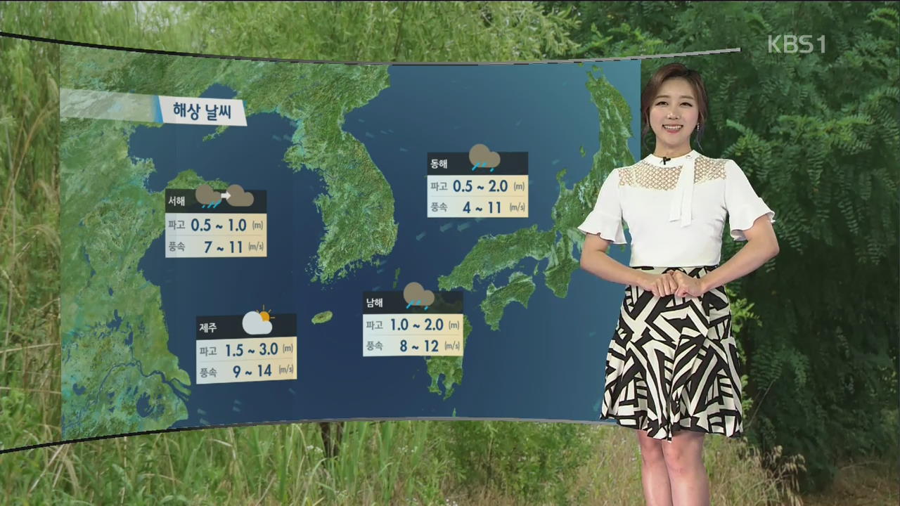 주말 곳곳 장맛비…밤사이 충청, 경북 집중 호우