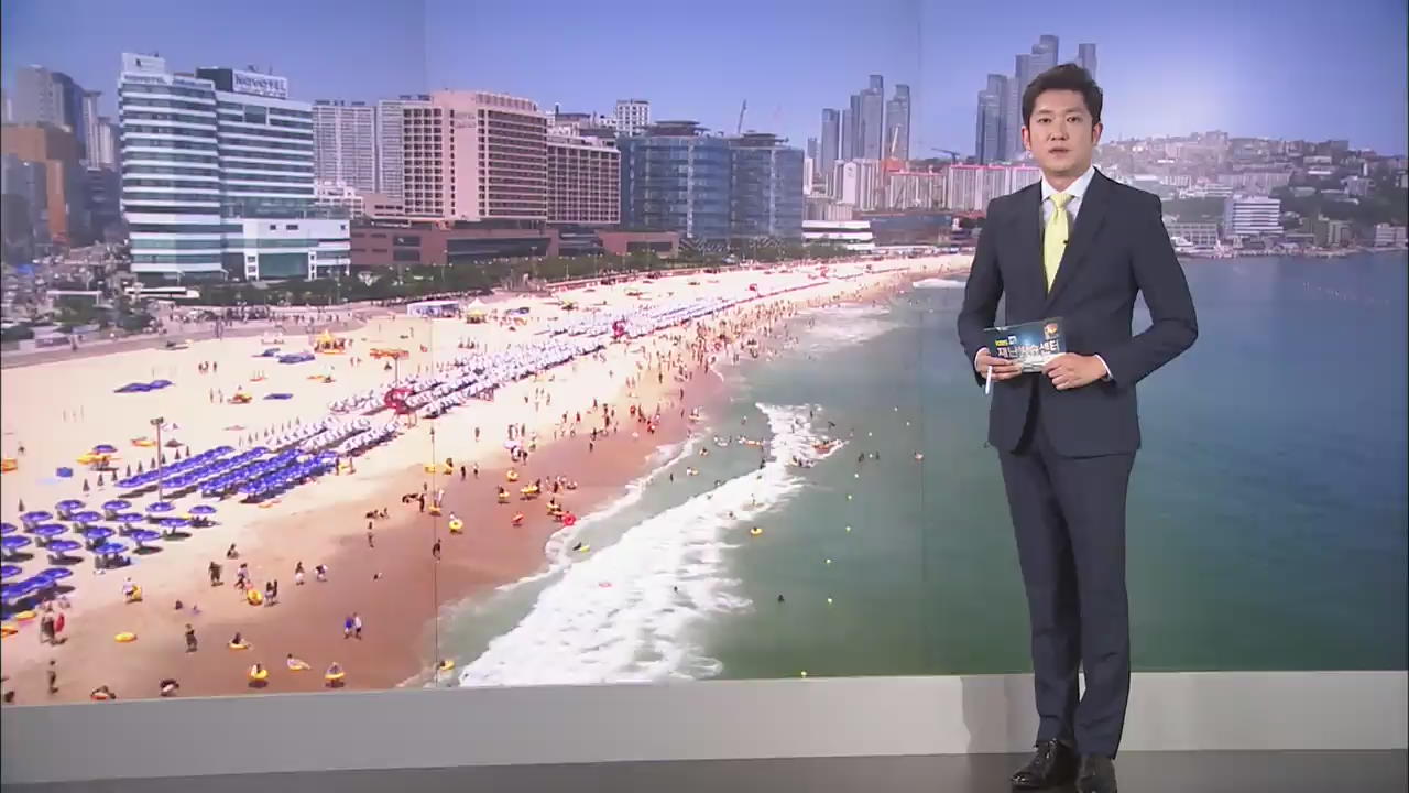 독성 해파리 경보…8월에 피해 가장 커