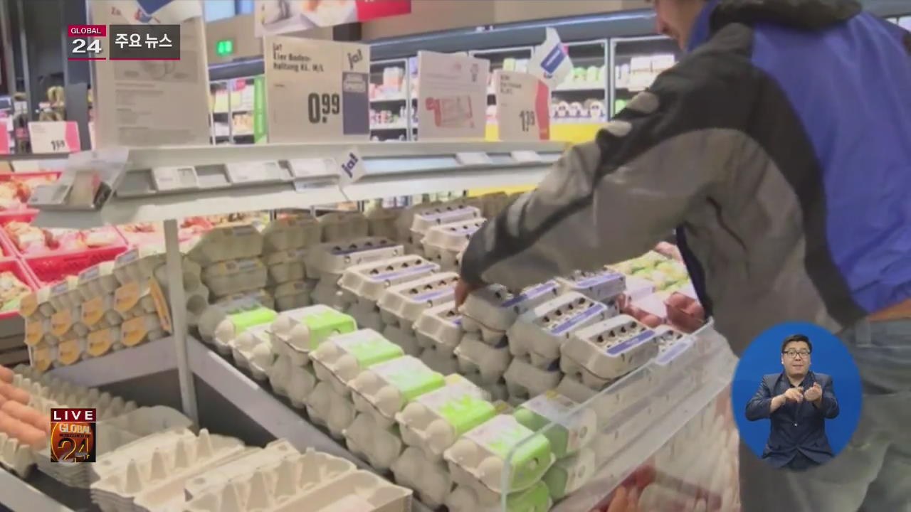 [글로벌24 주요뉴스] ‘살충제 달걀’ 파문에 수백만 개 리콜