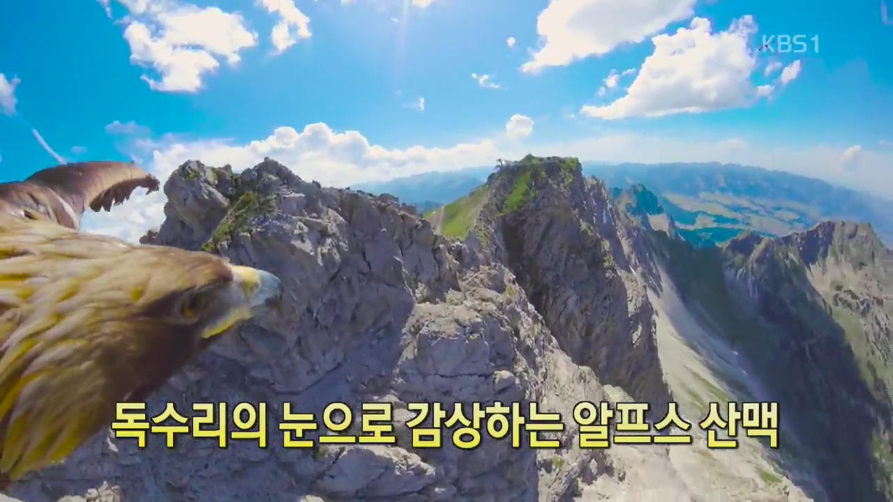 [디지털 광장] 독수리의 눈으로 감상하는 알프스 산맥