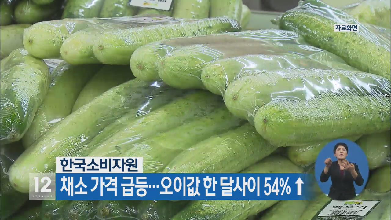 채소 가격 급등…오이값 한 달 사이 54% ↑