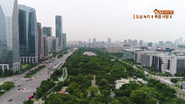 [5분 건강 톡톡] 도심 녹지…폭염 사망률 낮춘다!