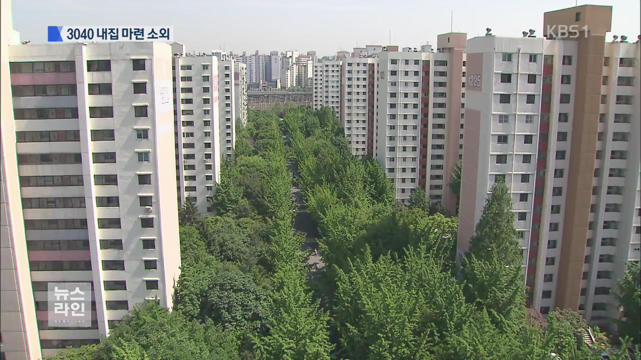 ‘8.2 대책’ 사각지대…3040 부부 고통