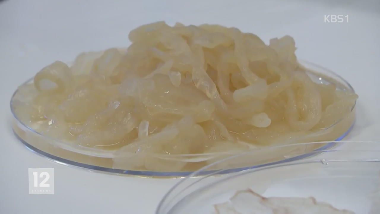 해파리로 만든 과자 ‘해파리 칩’