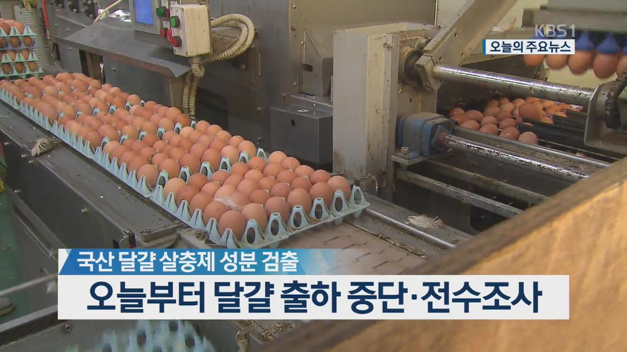 [오늘의 주요뉴스] 국산 달걀 살충제 검출…오늘부터 달걀 출하 중단·전수 조사 외