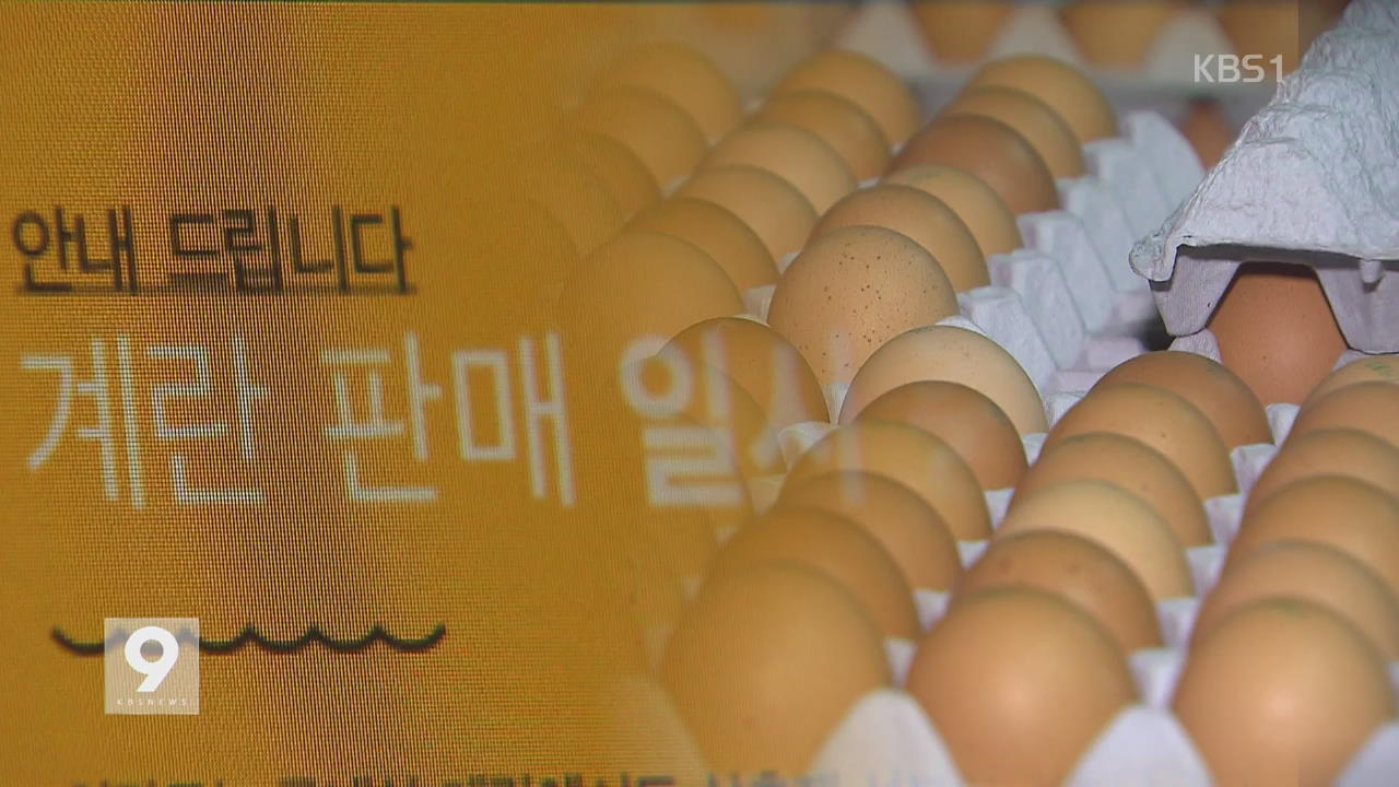 국내산 달걀에서도 살충제 검출…대형마트 판매 중단