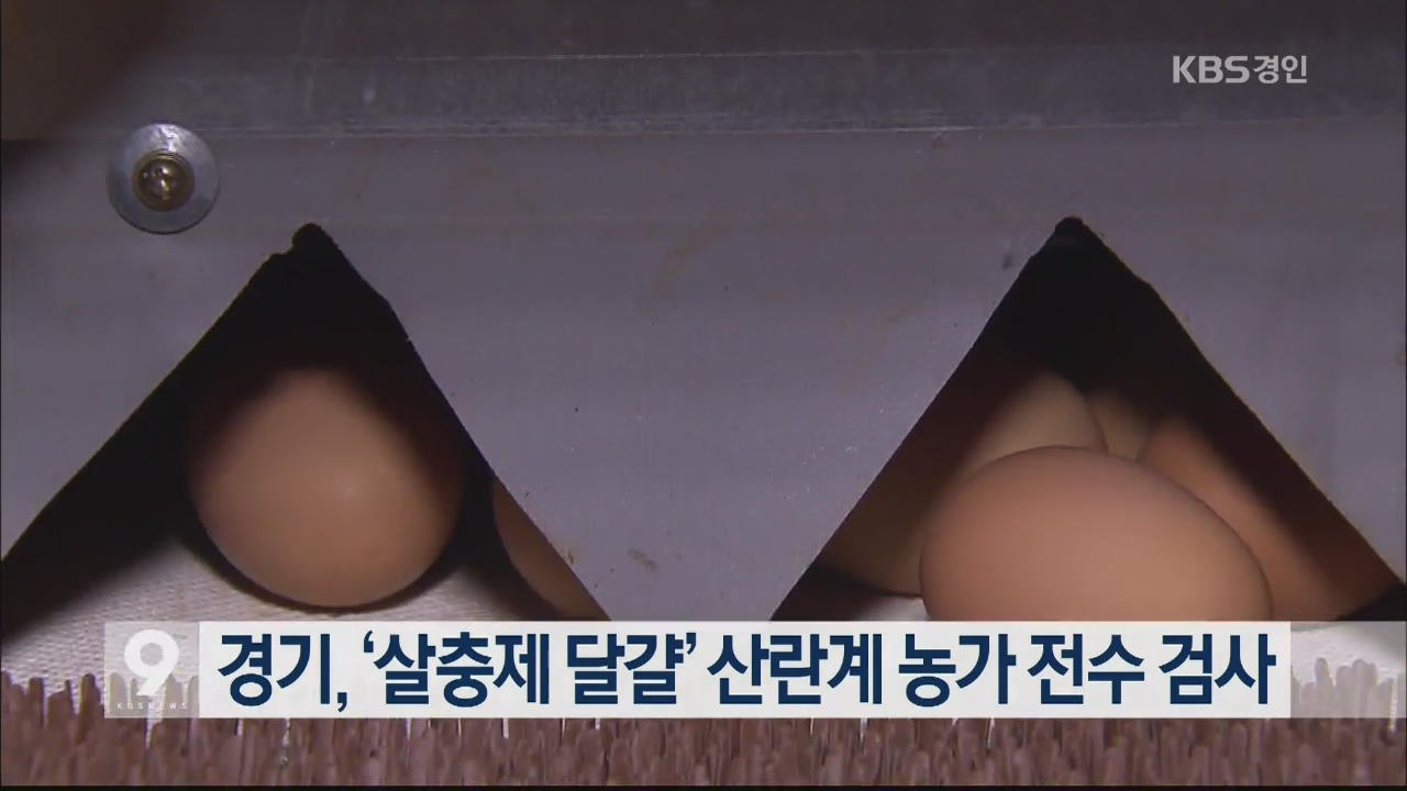 경기도, ‘살충제 달걀’ 산란계 농가 전수 검사