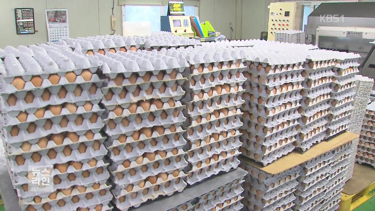 달걀 제품 어쩌나…소비자 대혼란