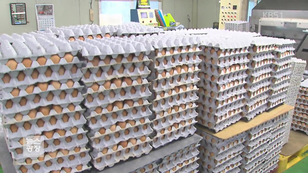 “달걀 먹어도 되나요?”…유통업계·소비자 ‘대혼란’