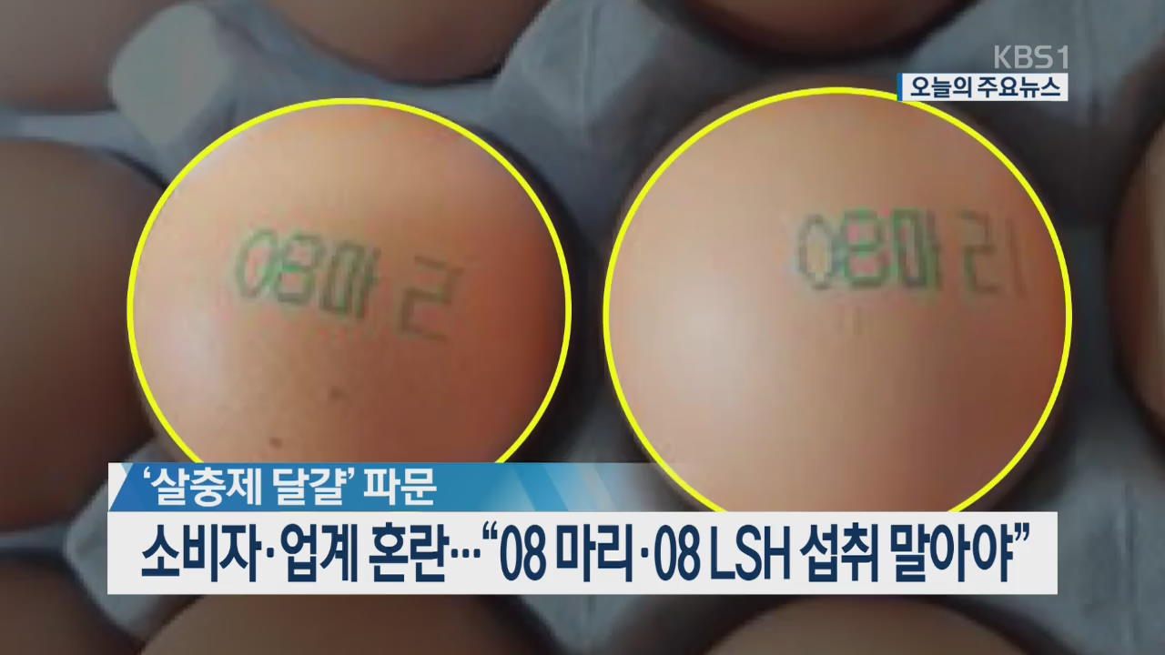 [오늘의 주요뉴스] ‘살충제 달걀’ 파문, 소비자·업계 혼란…“08 마리·08 LSH 섭취 말아야” 외