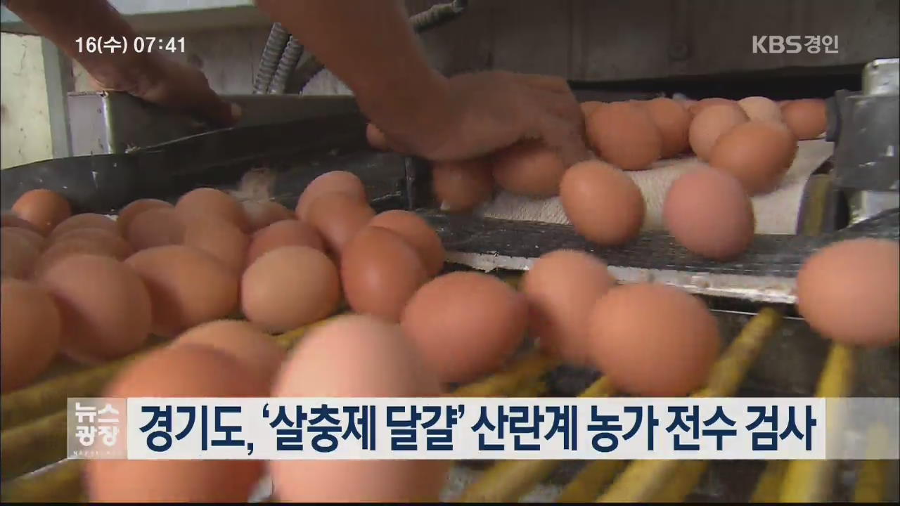 경기도 살충제 달걀 산란계 농가 전수 검사