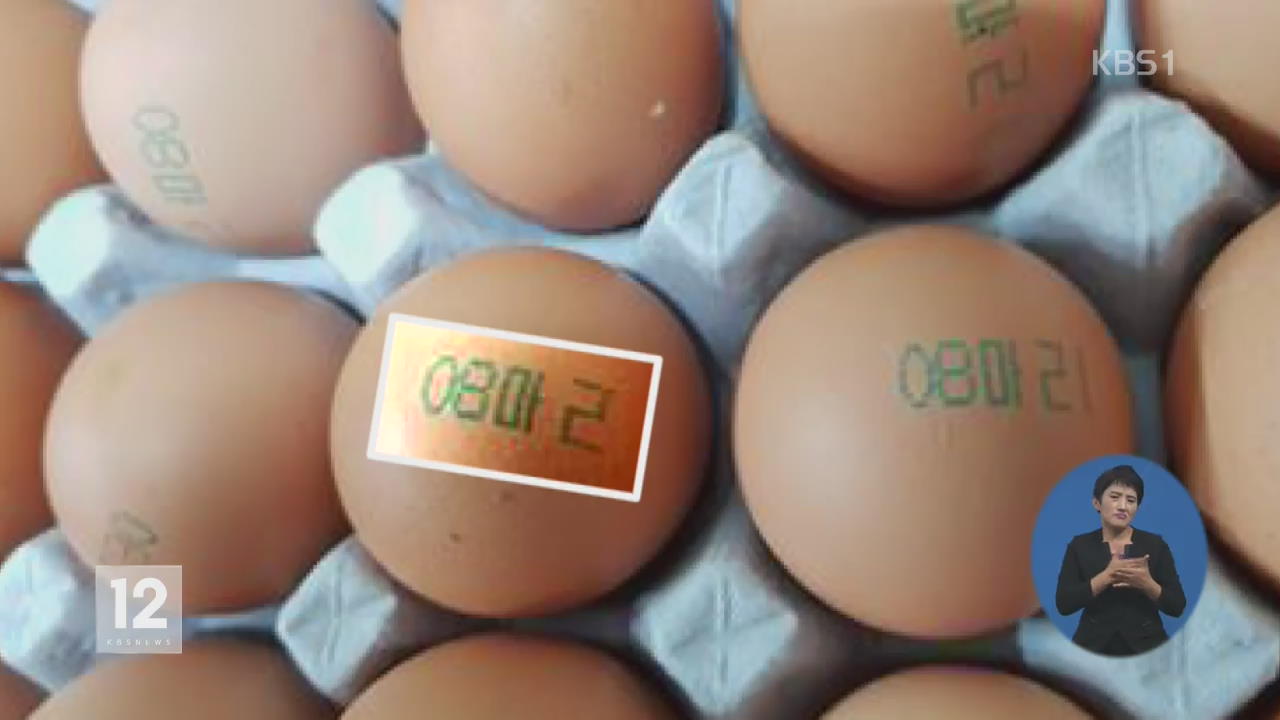 달걀 관리 강화…‘08마리’·‘08LSH’ 표시 주의