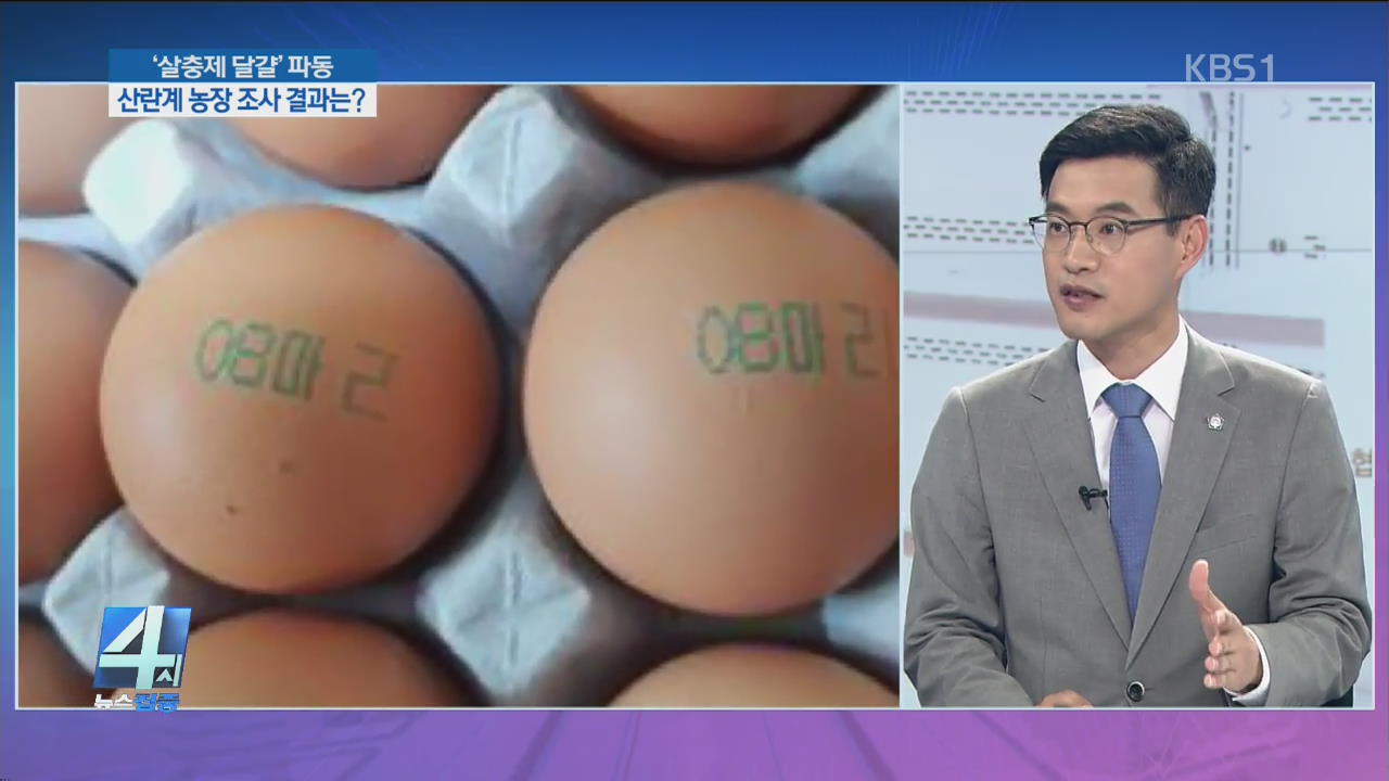 ‘살충제 달걀’ 파동…내가 먹는 달걀, 안전?
