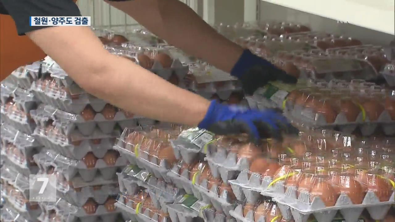 철원·양주도 살충제 검출…일부 달걀 판매 재개