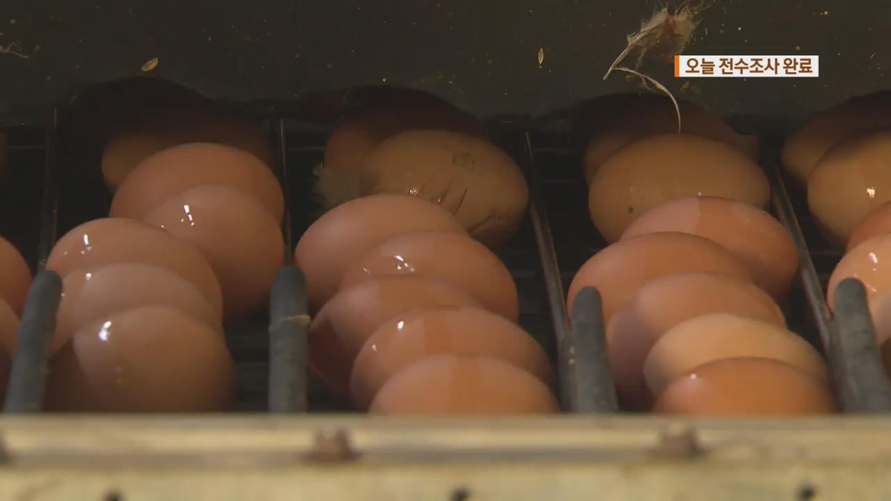 ‘살충제 달걀’ 농장 6곳…오늘 전수조사 완료