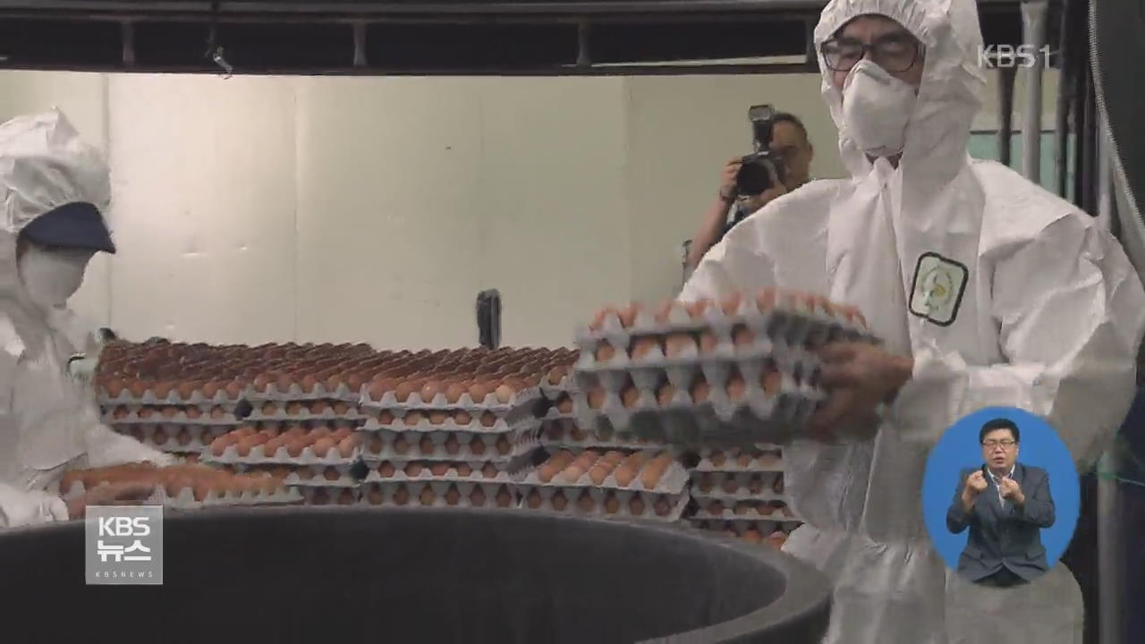 ‘살충제 달걀’ 회수·폐기…난각코드 또 오류